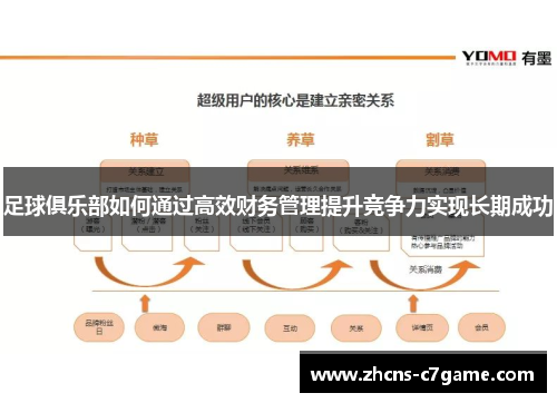 足球俱乐部如何通过高效财务管理提升竞争力实现长期成功