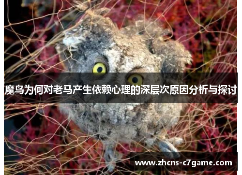 魔鸟为何对老马产生依赖心理的深层次原因分析与探讨